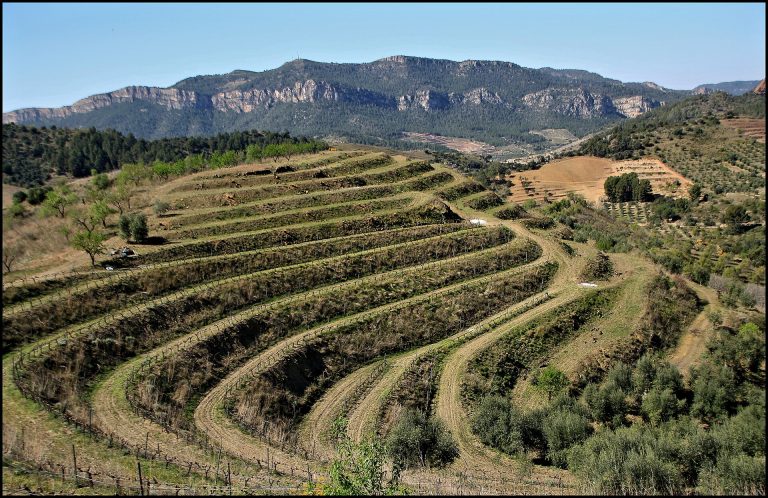 Terraced vineyards at La Vilella Alta in Priorat, Catalonia
